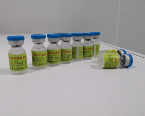 重组人内皮抑素腺病毒注射液(E10A)